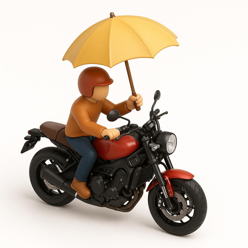 BikeOrNot Icon